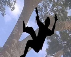 হবিগঞ্জে গাছের ডাল কাটতে গিয়ে কিশোর  নিহত